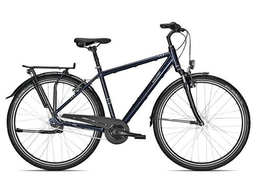Raleigh Cityrad CHESTER 7 R, 7 Gang 7-G Shimano Nexus Schaltwerk, Nabenschaltung Rücktritt, Herrenrad 28 Zoll blau