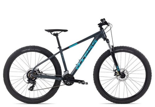 Axess Mountainbike SANDEE, 14 Gang Shimano RD-TX800-7 Schaltwerk, Kettenschaltung, MTB-Hardtail schwarz/grau