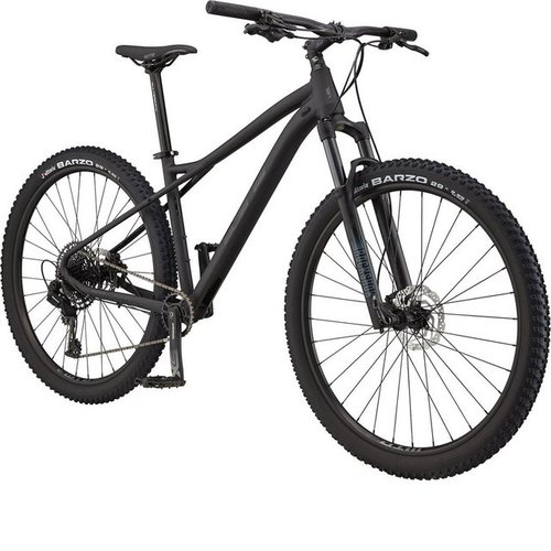 GT Mountainbike Avalanche Expert, 12 Gang SRAM SX Eagle Schaltwerk, Kettenschaltung, Mountainbike Hardtail MTB Fahrrad 29" Mountain Bike