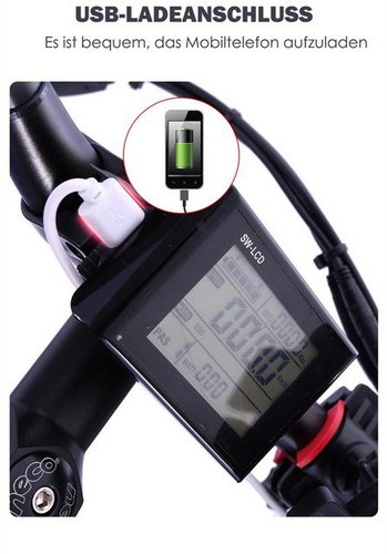 Fangqi E-Bike 26Zoll E-Mountainbike,Shimano 21-Gang,1000W/48V/16Ah LG Akku, Automatikschaltung, 1000,00 W