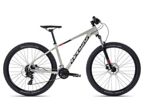 Axess Mountainbike BRASH, 16 Gang Shimano RD-TX800- 8 Schaltwerk, Kettenschaltung, MTB-Hardtail schwarz/grau