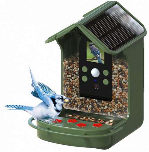 Braun Phototechnik Bird Cam 130 Solar Wildkamera Kompaktkamera