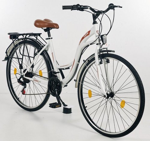 Luchs Cityrad Fahrrad 28 Zoll - Fahrrad für Mädchen & Damen - Hollandfahrrad, 21 Gang, Kettenschaltung, Cityfahrrad / Damenfahrrad Trekkingrad im Stvzo zugelassen