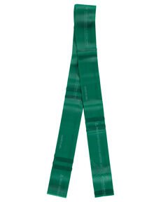 TheraBand Fitnessband "CLX Consecutive Loops" – Grün