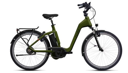Flyer Gotour4 7.00 Grün Modell
