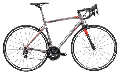 Wilier Montegrappa - 105 5800 Grau Modell