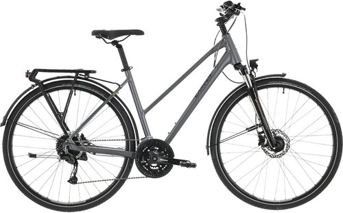Carver Route 120 Trekkingrad Grau Modell 2023