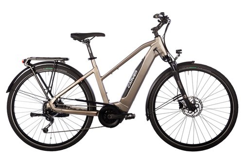 Carver Route E.420 E-Bike Grau Modell 2022