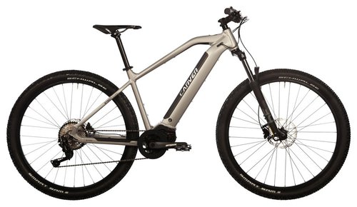 Carver Strict E.410 E-Bike Grau Modell 2020