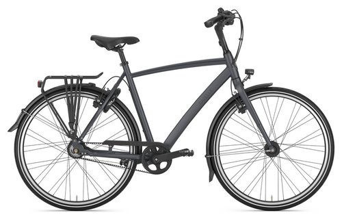 Gazelle Chamonix S8 Grau Modell