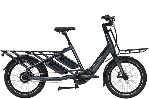 Kettler Familiano L-N E-Bike Grau Modell 2021