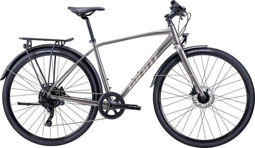 GIANT Escape 1 Trekkingrad Grau Modell 2022