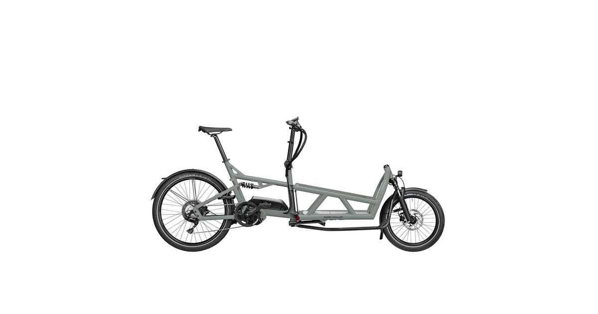 Riese und Müller Load 60 touring Grau Modell 2023