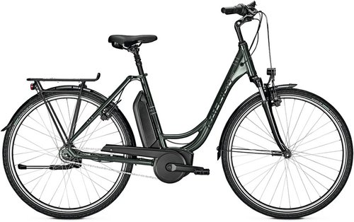 Raleigh Jersey Plus E-Bike Grün Modell 2022