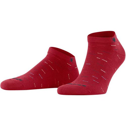 Burlington Herren Multi Stripe SN