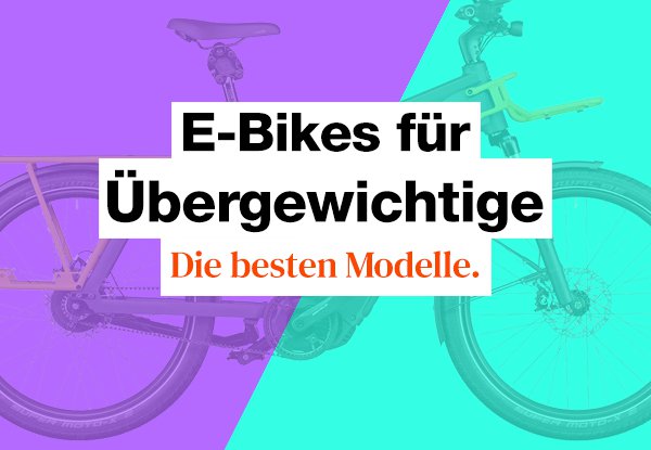 E-Bikes für Übergewichtige Test 2024: Die 12 Testsieger im Vergleich.