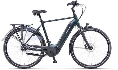 Batavus Finez E-go Power RT 500 E-Bike Grün Modell 2023
