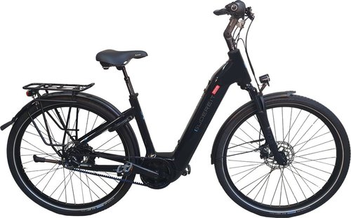 Gudereit EC-4.8 evo E-Bike Schwarz Modell 2023