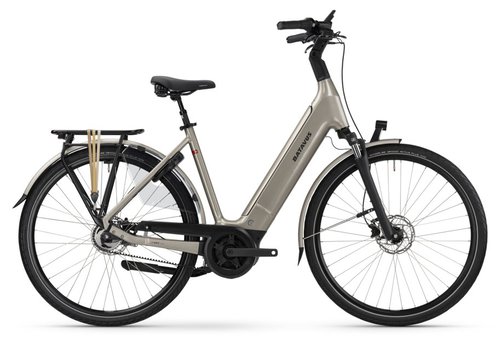 Batavus Finez E-go Power Exclusive Plus 750 E-Bike Gold Modell 2024