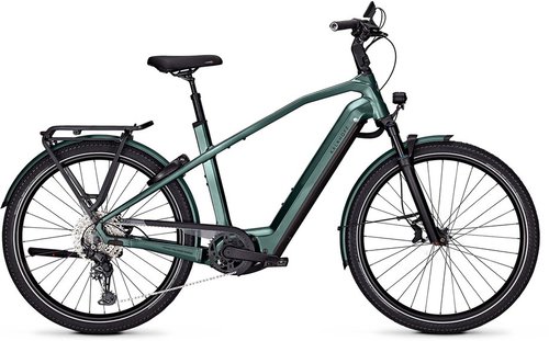 Kalkhoff Endeavour 7 Move + E-Bike Grün Modell 2024