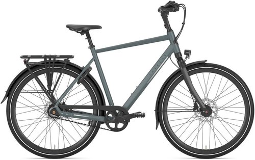 Gazelle Chamonix S8 Citybike Grün Modell 2025