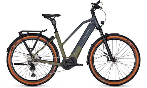 Kalkhoff Entice 5 Advance + LTD E-Bike Grün Modell 2025