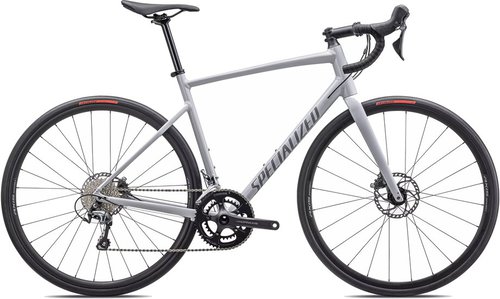 Specialized Allez E5 Sport Rennrad Grau Modell 2025