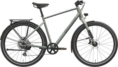 Diamant Mahon World Trekkingrad Grün Modell 2026