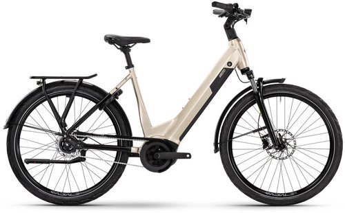 Greens Bromley R750n E-Bike Grau Modell 2024