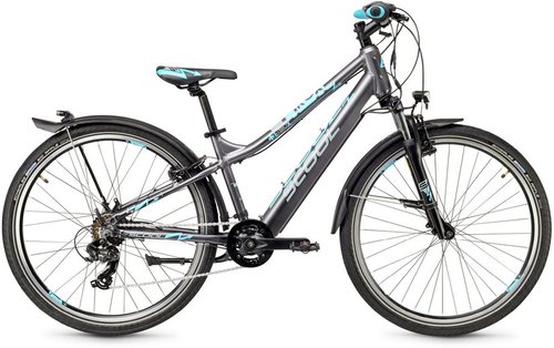 S'cool e-troX 26 7-Gang E-Bike Grau Modell 2024