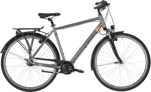 Carver Cityzen 130 Citybike Grau Modell 2024