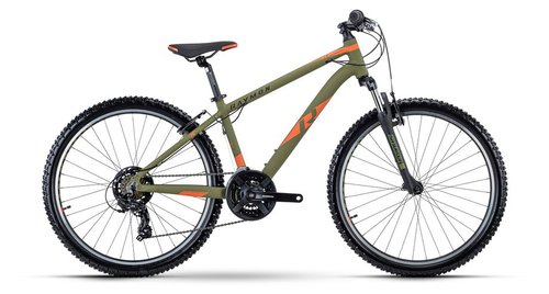 Raymon NineRay 1.0 Mountainbike Grün Modell 2024