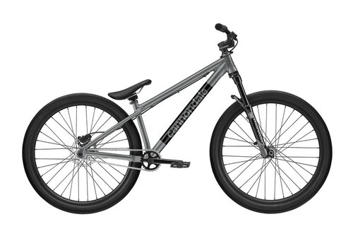 Cannondale Dave Mountainbike Grau Modell 2024