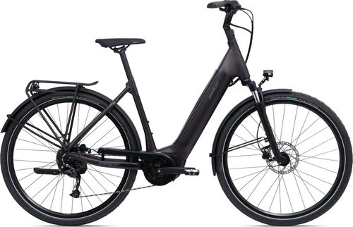 Giant DailyTour E+ 3 E-Bike Braun Modell 2024