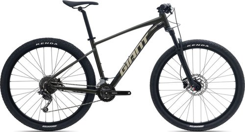 Giant Talon 2 Mountainbike Grün Modell 2024