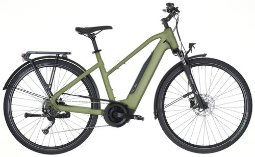 Carver Route E.410 E-Bike Grün Modell 2025