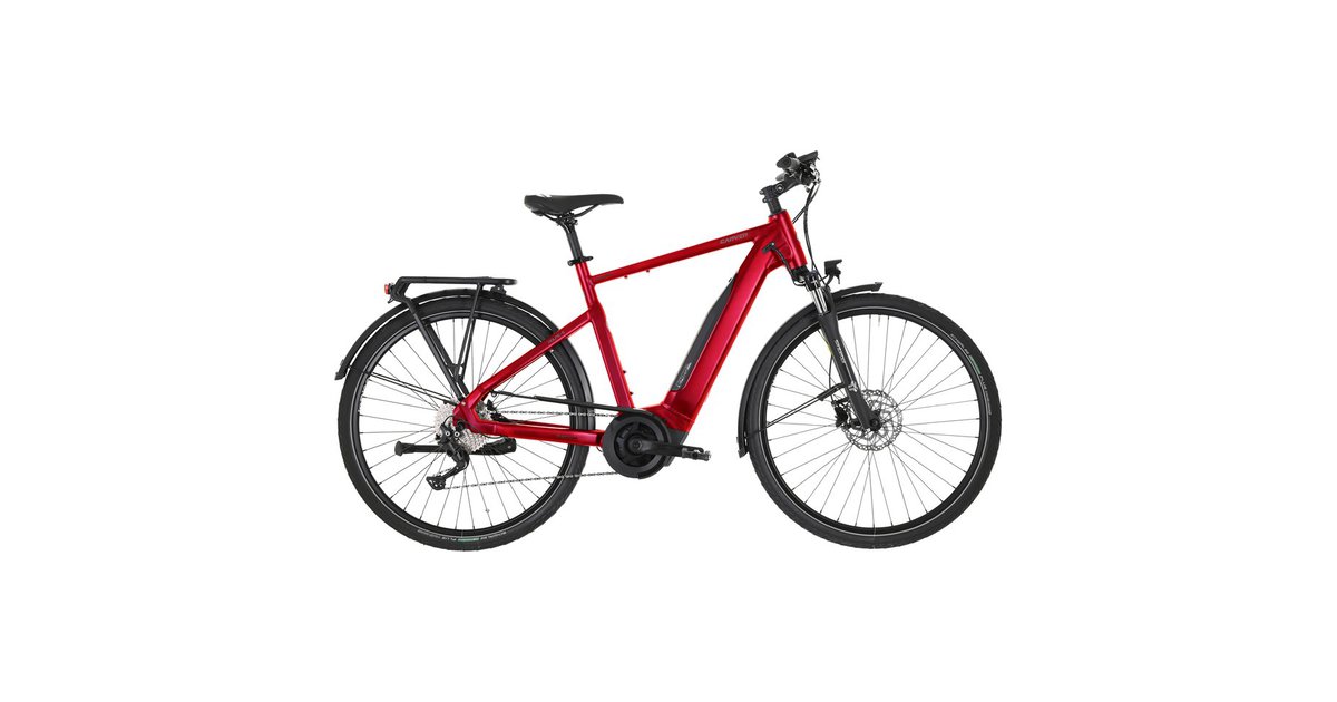 Carver Route E.420 E-Bike Rot Modell 2024