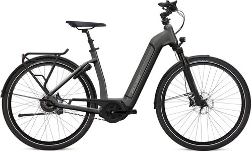 Flyer Gotour6 7.23 E-Bike Grau Modell 2022