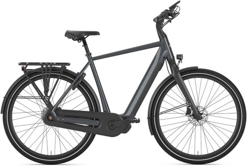 Gazelle Chamonix C7 HMS E-Bike Grau Modell 2024