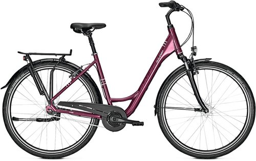 Raleigh Chester 7 Citybike Rot Modell Aktion