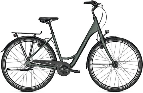 Raleigh Devon 8 Citybike Grün Modell Auslaufmodell