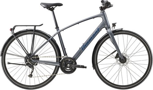 Diamant Rubin Trekkingrad Grau Modell 2023