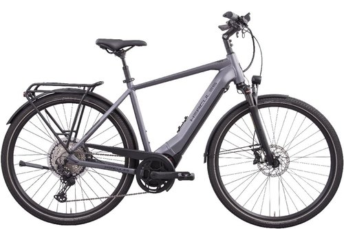 Hercules Pasero Pro I-12 E-Bike Grau Modell 2023
