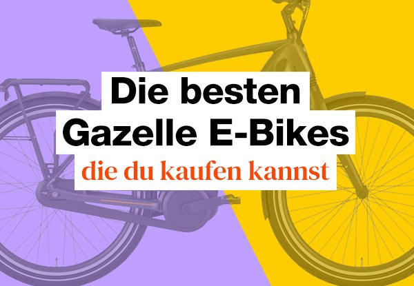 Unser großer Gazelle-E-Bike-Test.