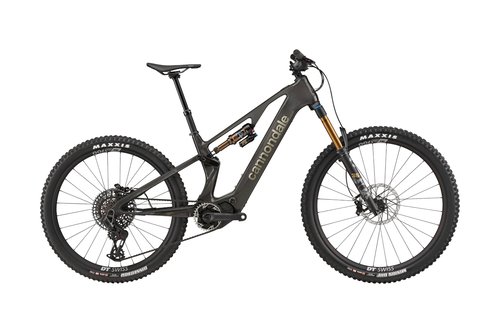 Cannondale Moterra SL 1 - Raw - Small